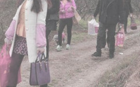 ̽�����뺯����3ƪ