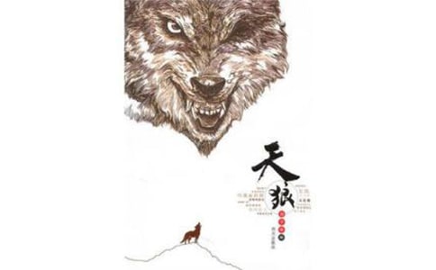 �������и�