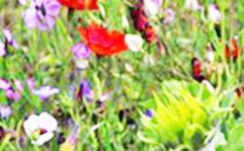 ���յ���Ұ200������