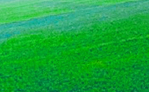 ��Ұ��������