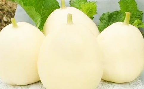 ����޹���ʩ�ʼ���