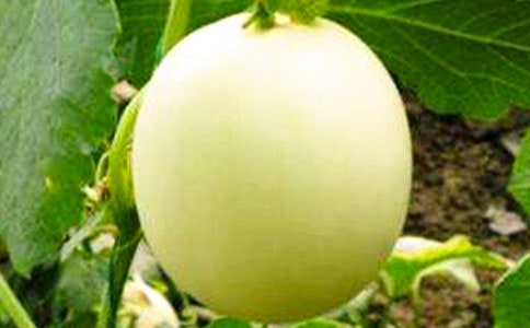 С����Ϲ��ñ����Կ�ͷ