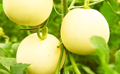 ��ʮ�ܽ�ѧ��˼:�����