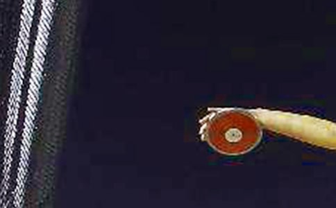 �ն����������ݱ��к�����