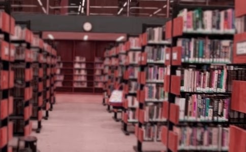 图书管理员的工作总结(精选5篇)