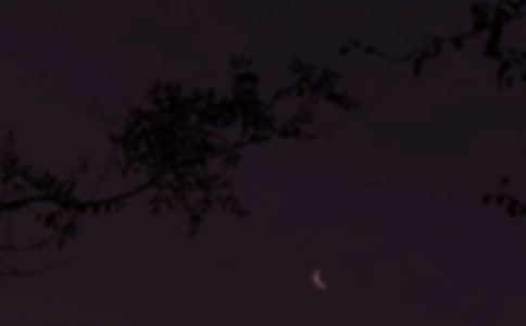 温暖的晚安心语短信大汇总82句