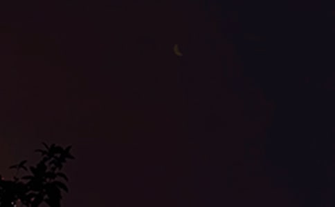 �����š����õ�����������Ž���61��