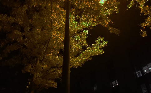 �Ƽ�����Ȧ��������180��