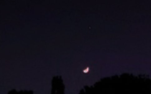 优美的晚安心语短信汇编84句