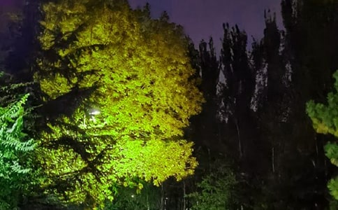 ������ܰ������������Ż���78��