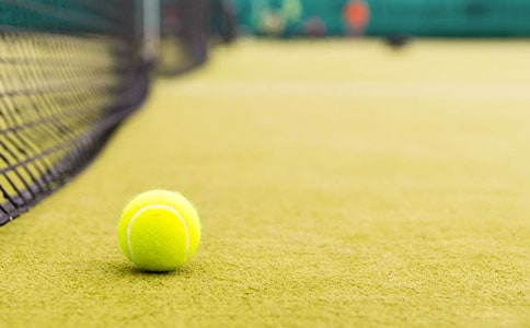 打网球,太棒了作文