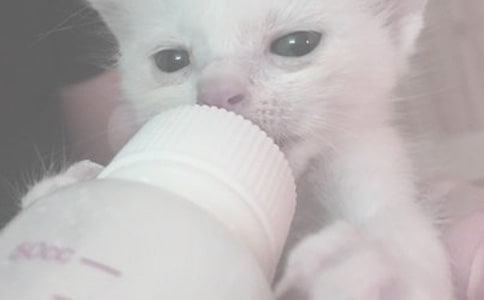 ̸���ӻ��ι��