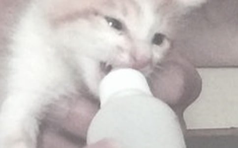 ����ι�����ģ�ͨ��10ƪ��