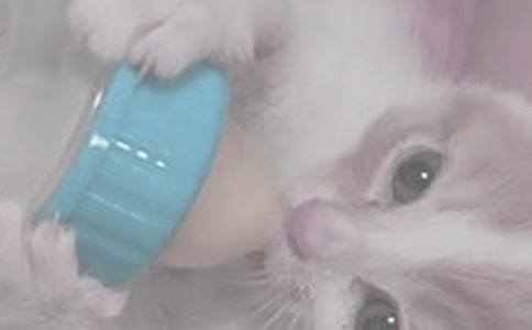 ι��ʱ�����⺢��