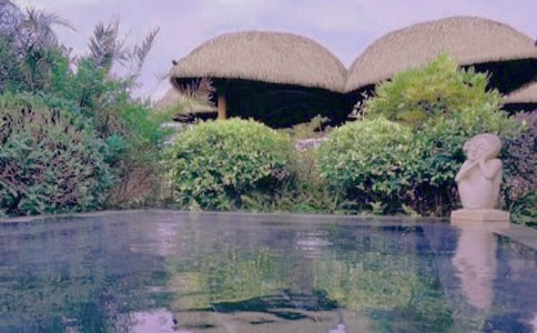 ��Ȫ�μ�����