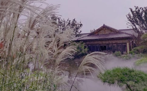 ��Ȫ��֮��