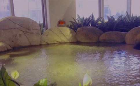 东丽湖温泉度假村导游词500字