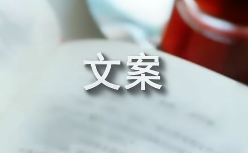 表达爱过不后悔的流行抖音文案