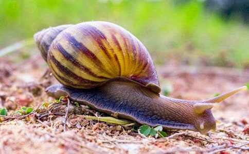 �۲���ţ��������12ƪ(�ϼ�)