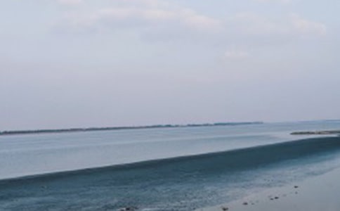 《我们看海去》读后感(通用17篇)