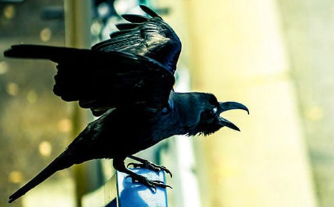 ���Һ���ѻ���ھӡ������