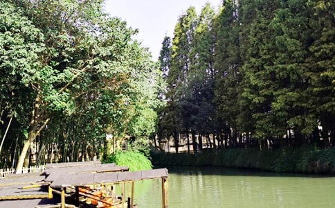 乌镇游记作文通用15篇