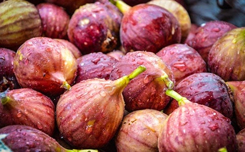 无花果的作文(精选52篇)