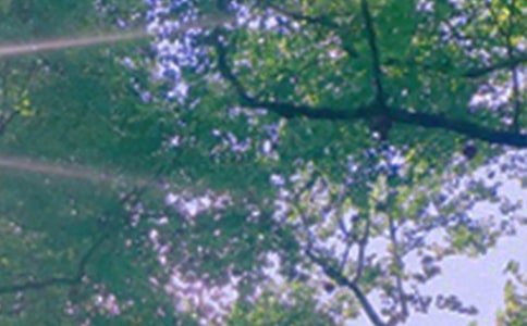 ����Ψ���簲˵˵40��