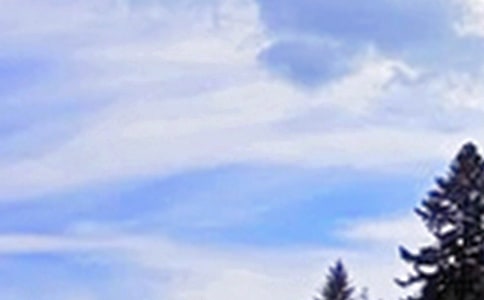 唯美午安寄语大全50句