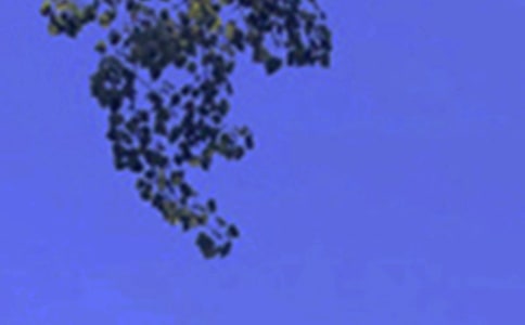 ����ů���簲����50��