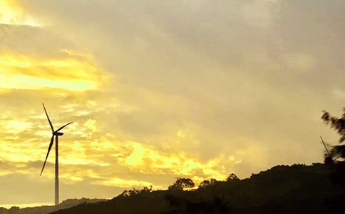 关于温馨午安签名大全(通用90句)