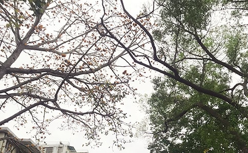 ����Ȧ�簲˵˵��ͨ��40�䣩