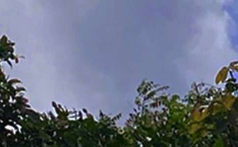 经典朋友圈午安寄语(精选40句)