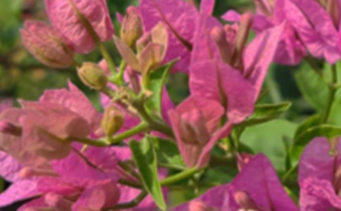 关于个性午安寄语大全(通用50句)