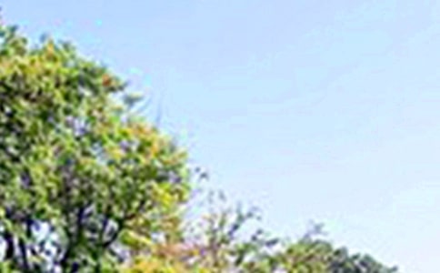 正能量午安寄语(精选50句)