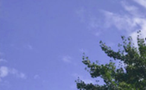 经典个性午安寄语(精选80句)