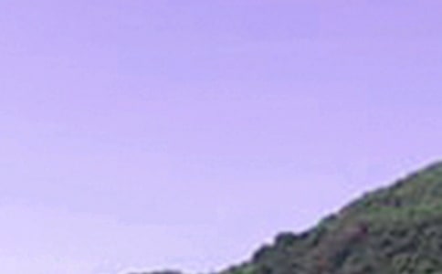 ����ů���簲����50��