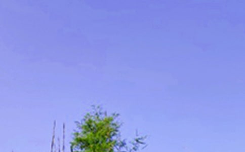 经典温馨午安寄语60句