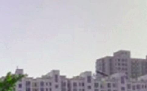 �����簲����80��