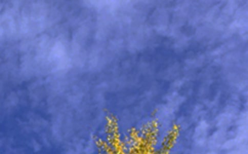 温馨午安说说(通用80句)