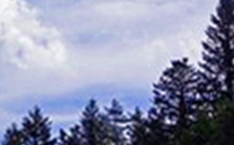 温馨午安寄语(精选30句)