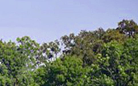 ������ܰ�簲ǩ����ȫ��ͨ��60�䣩