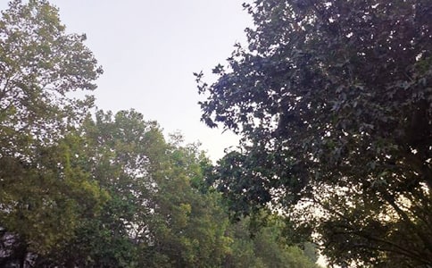 �������簲����30��