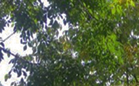 个性午安寄语100句精选