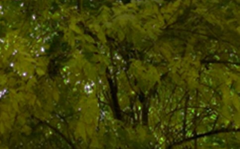 励志午安寄语80句精选