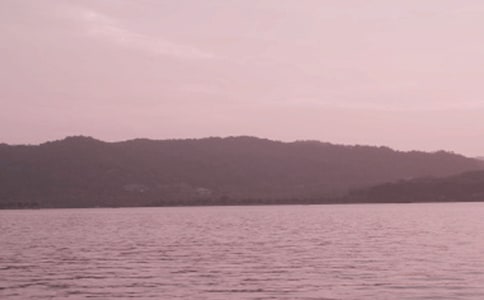 写杭州西湖的作文