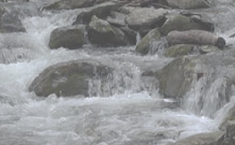 小溪流的歌读后感