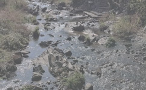 ��������СϪ���ĸ�-����СϪ���ĸ衷�������