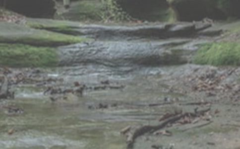 Ϫ��600������