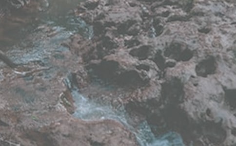 小溪流的歌小学生作文